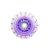 LAZER ULTRA SPARK Purple 72 300x300-R0